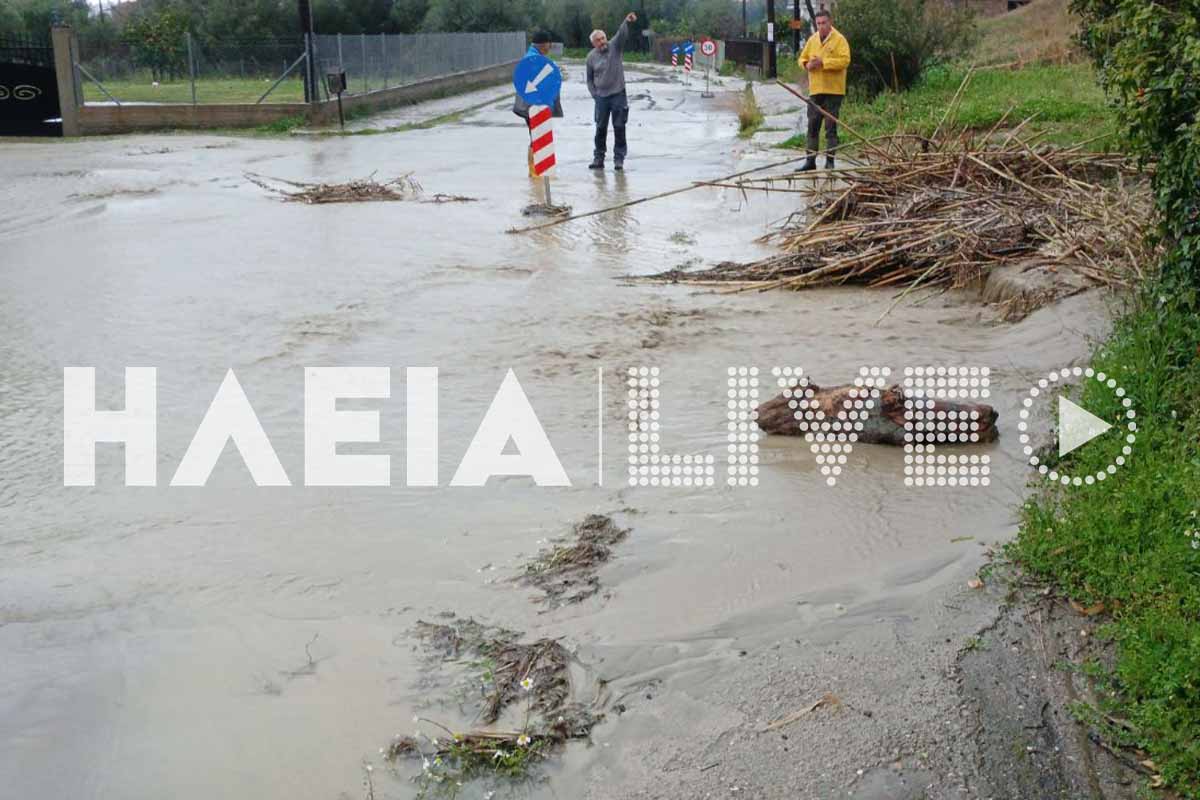 olumpia kakok plim 8