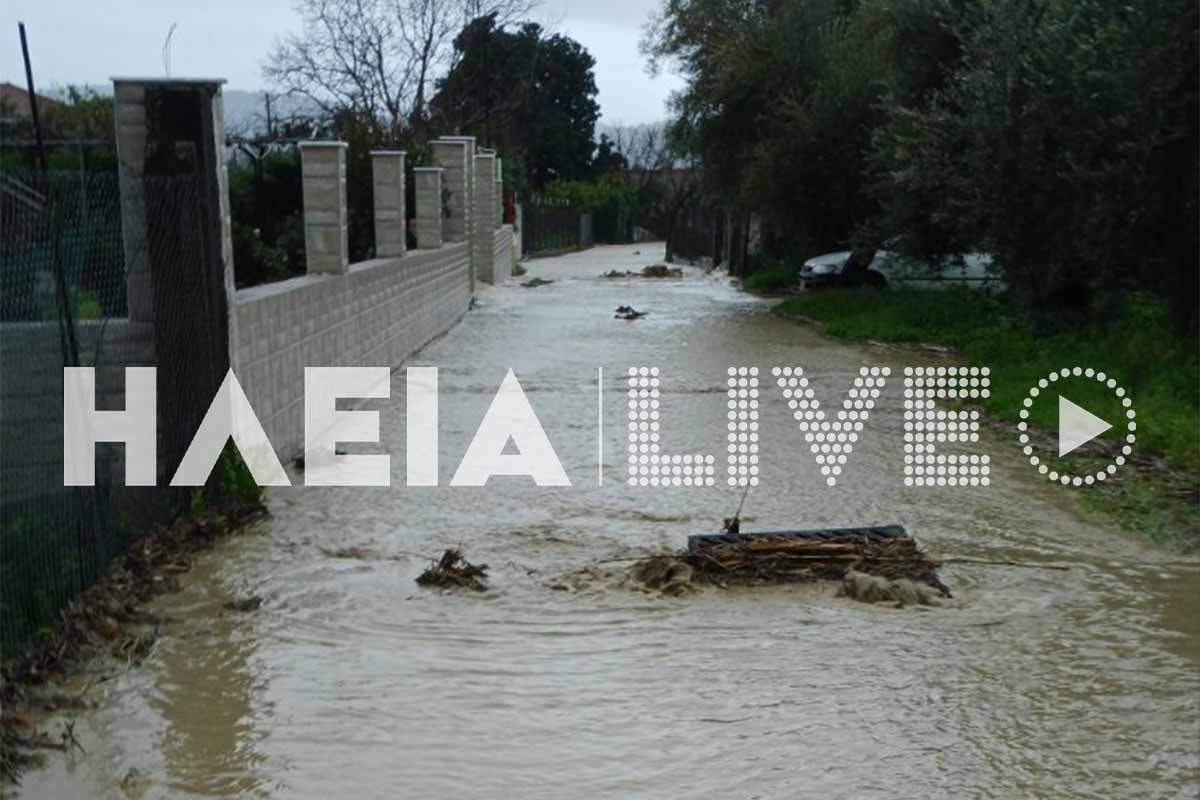 olumpia kakok plim 9