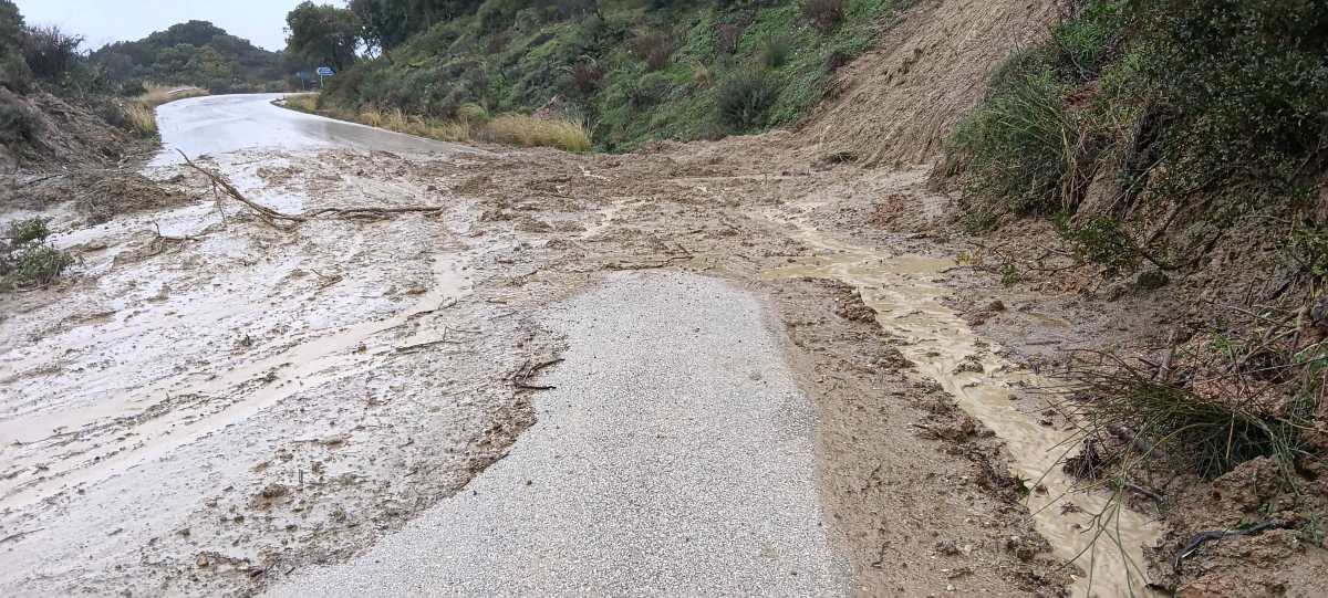 katoli prodromos 1
