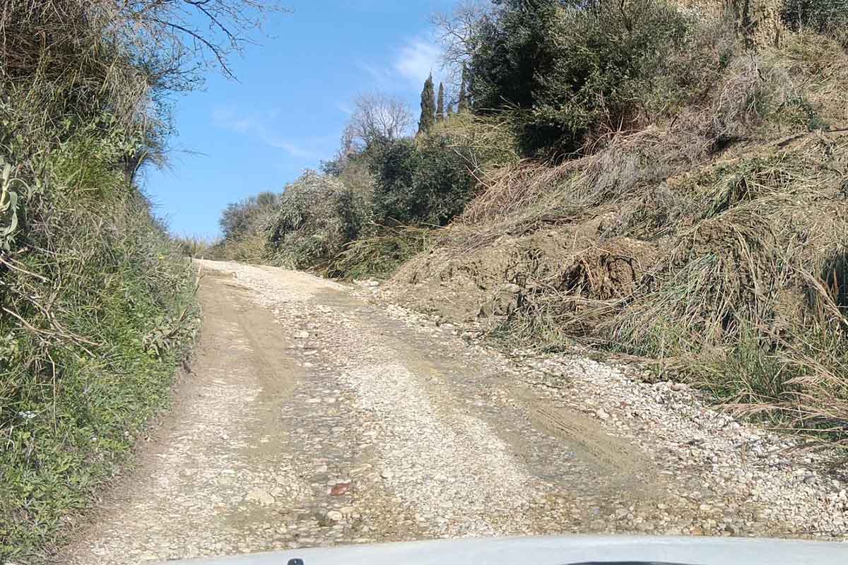 eagme pineia 2