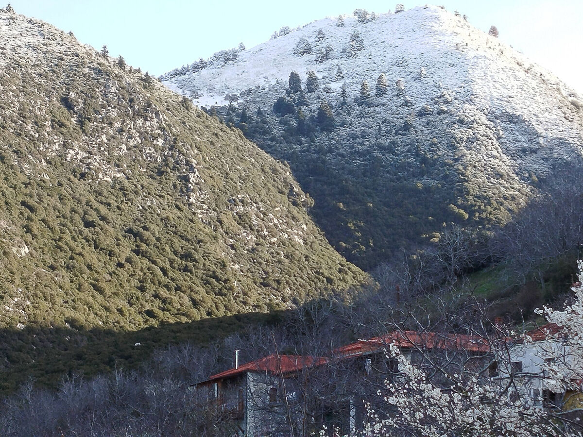 Xionia 2