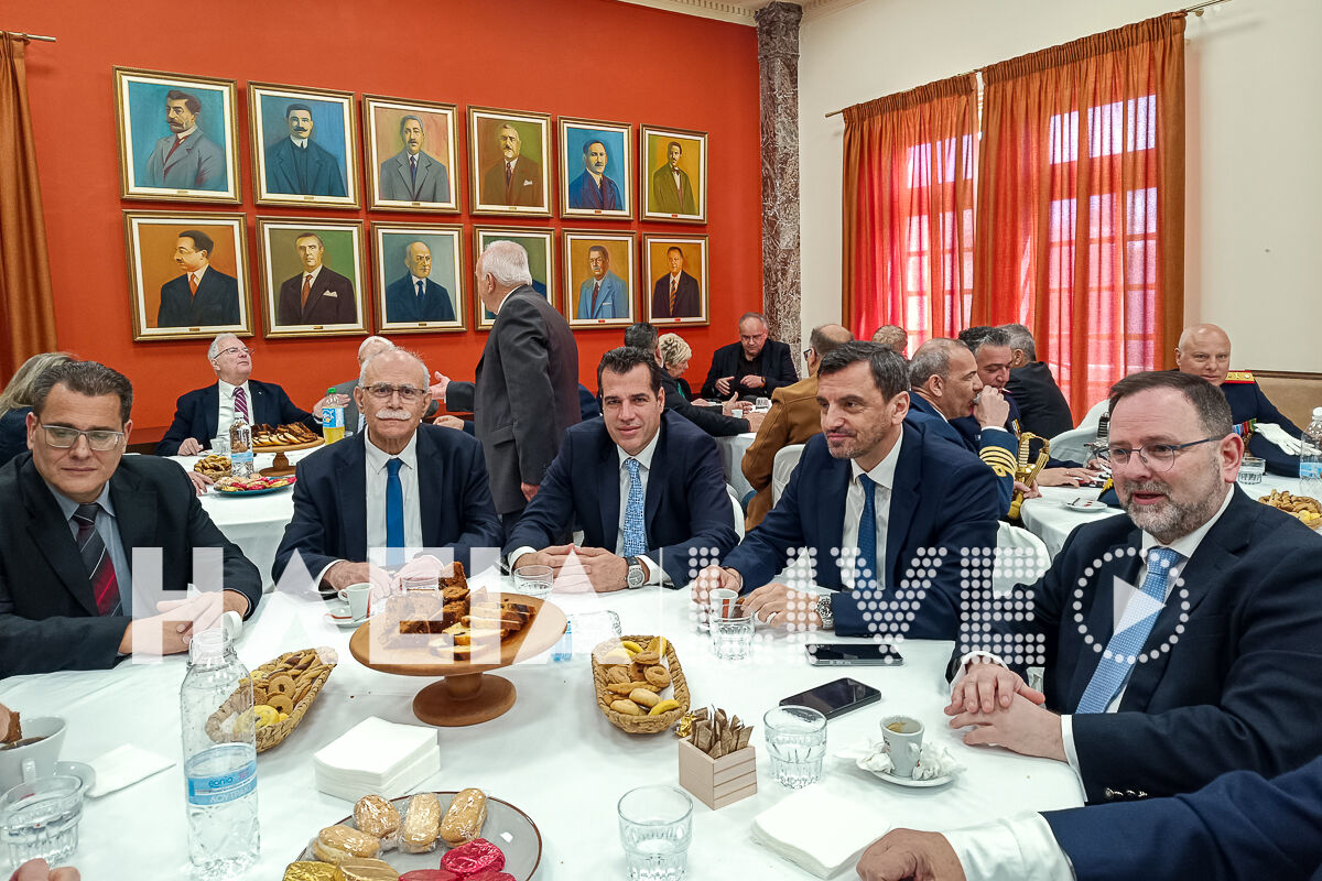 Pleuris dimarxeio 1