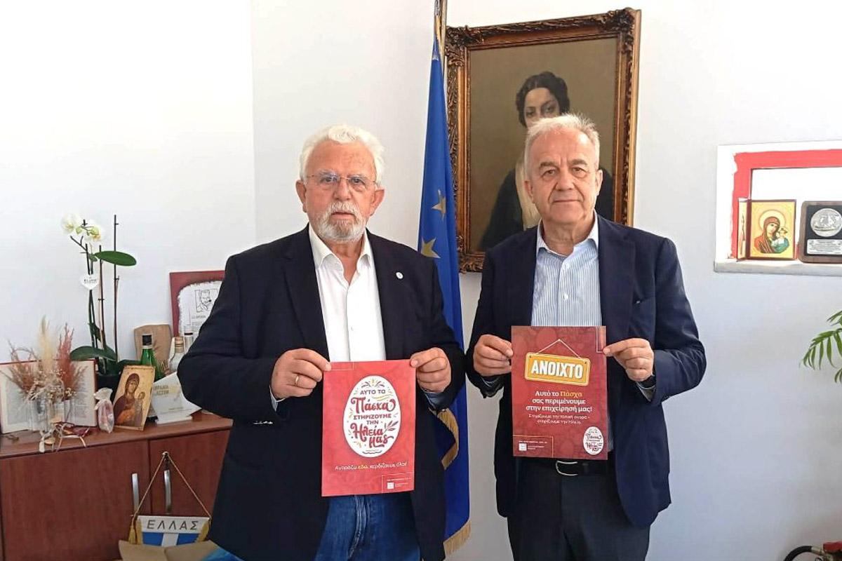 dt dimos ilidas epimelitirio 5