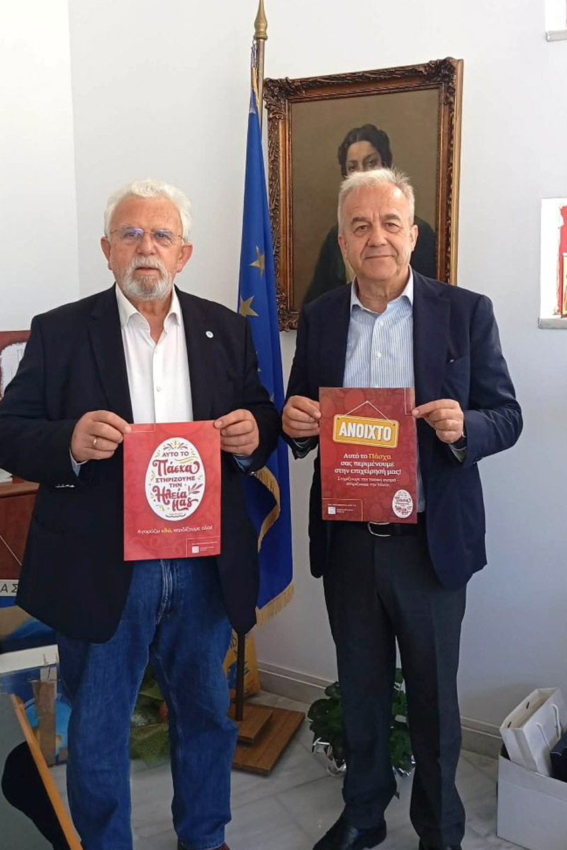 dt dimos ilidas epimelitirio 6