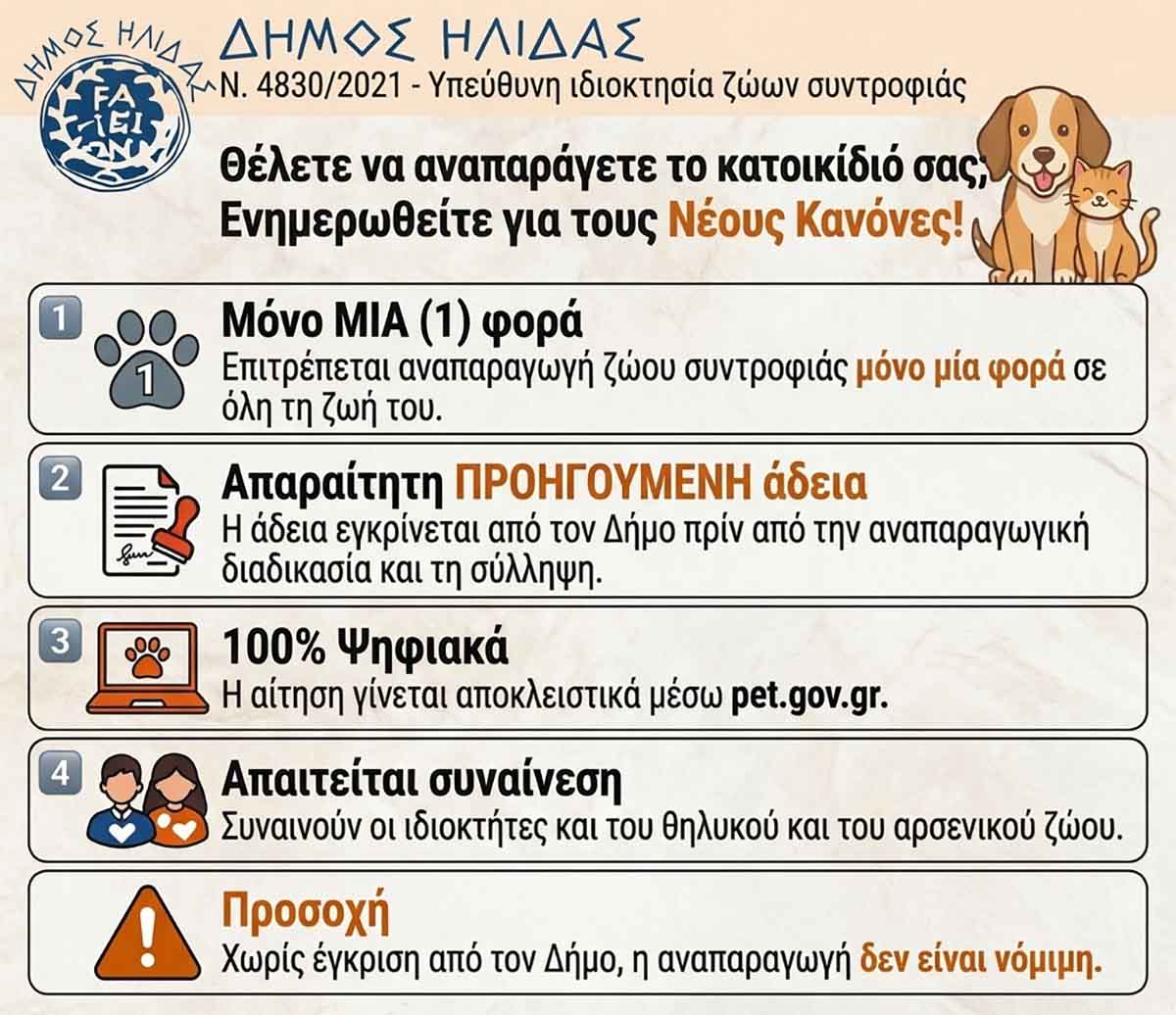 dimos ilidas adespota dt
