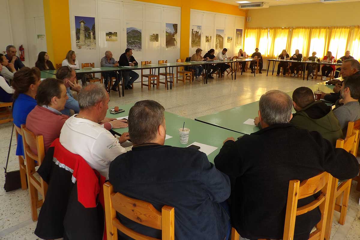 dt tesopp krestena (2)