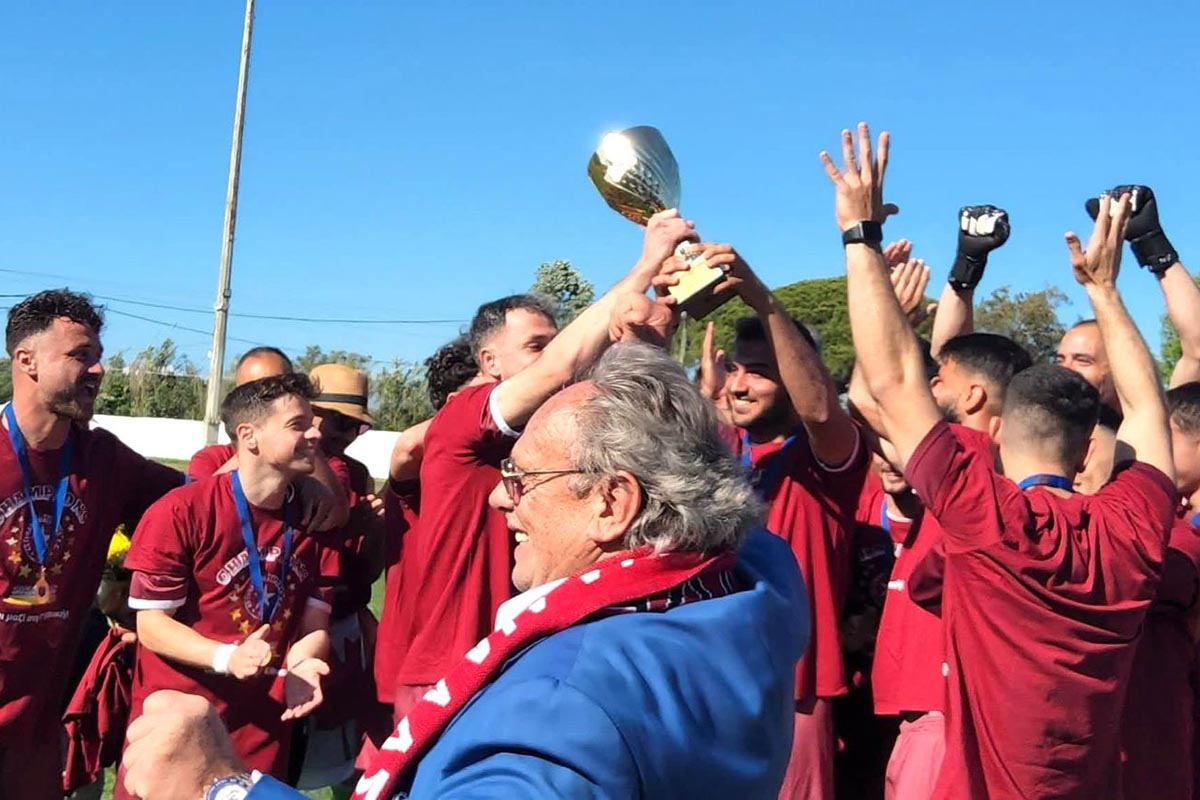 dt asteras aponomi (6)