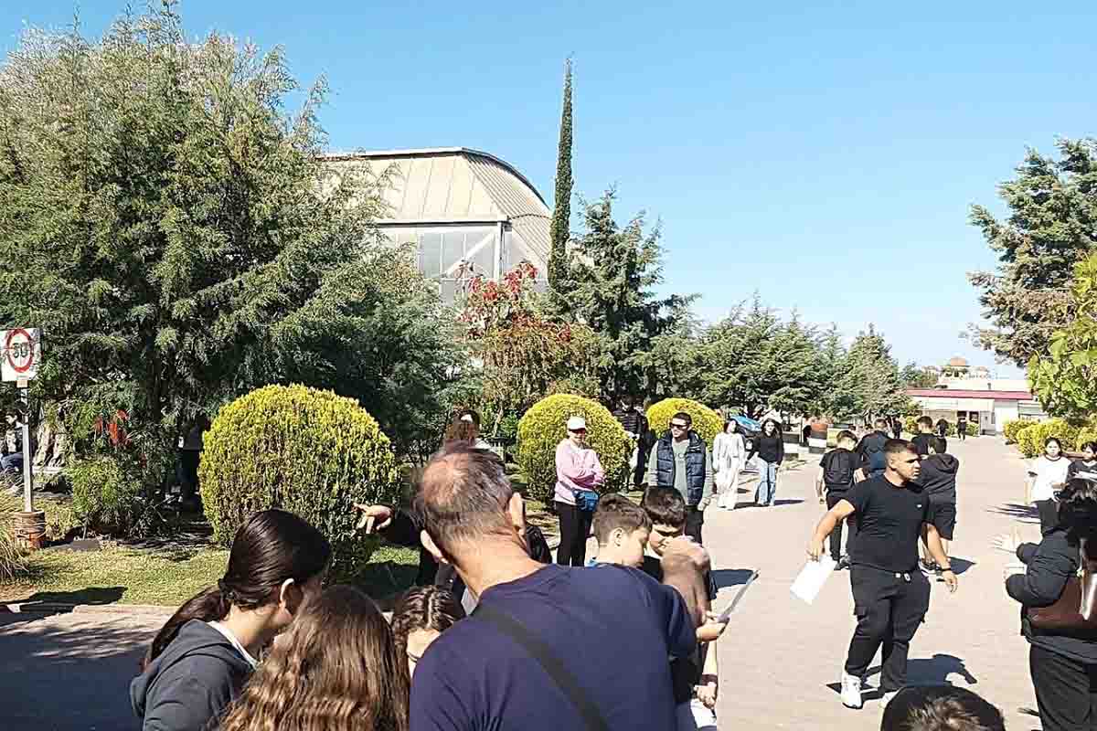 dt agones prosanatolismos ilida 12