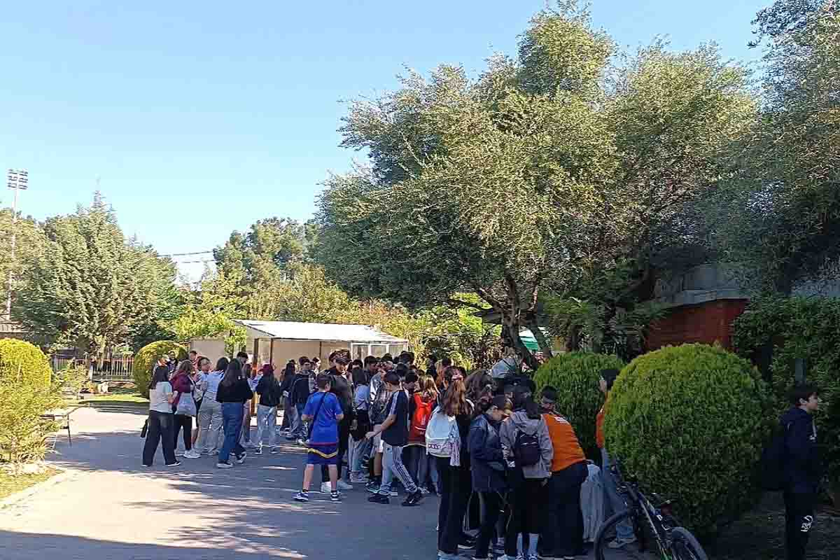 dt agones prosanatolismos ilida 2