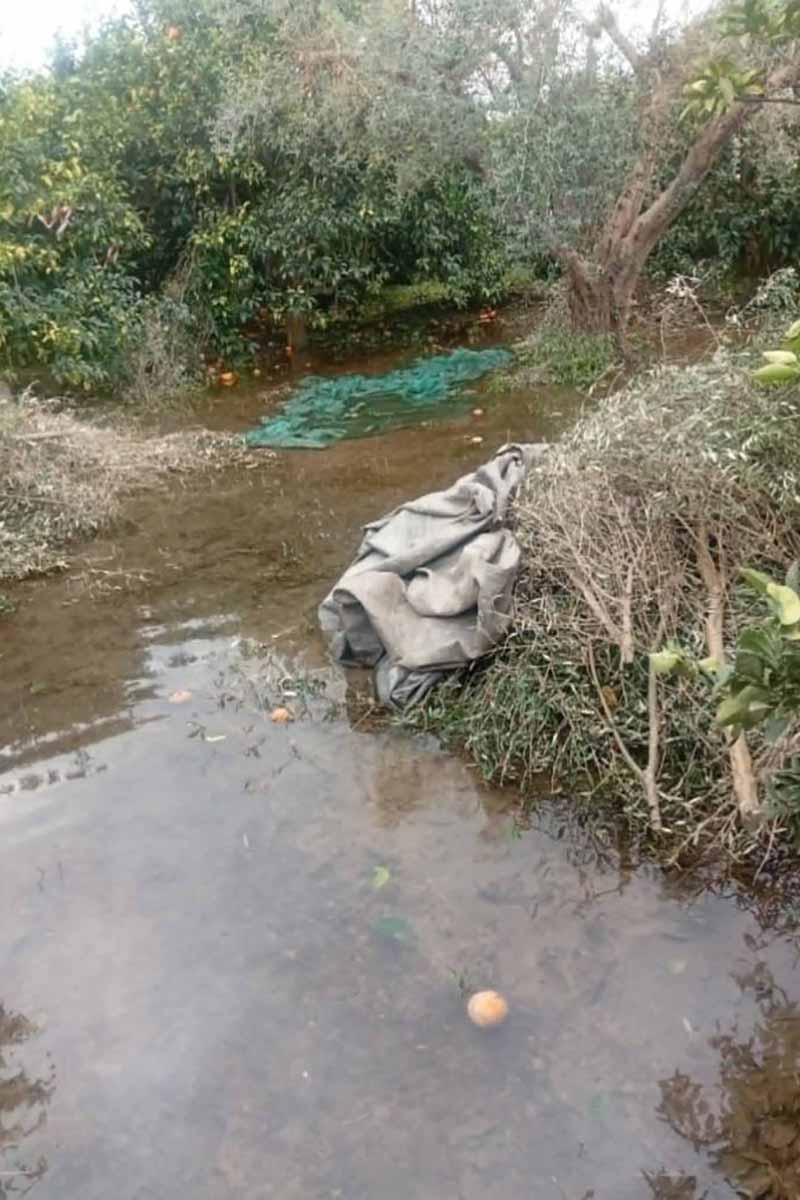 dt andritsaina krestenwn plummires 1