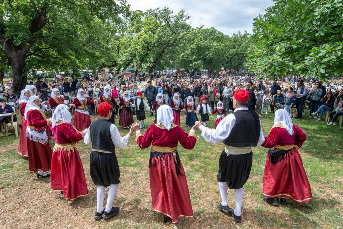 dt olumpia protomagia 19