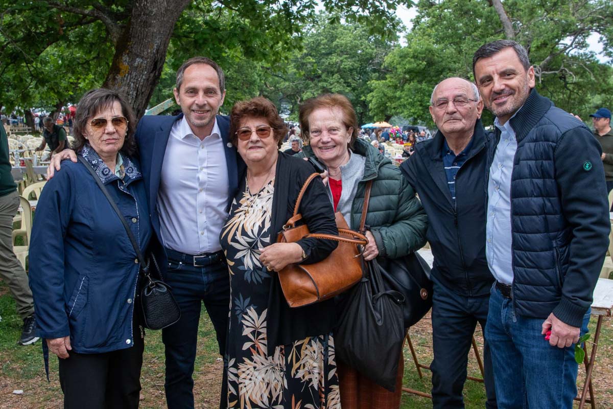 dt olumpia protomagia 23