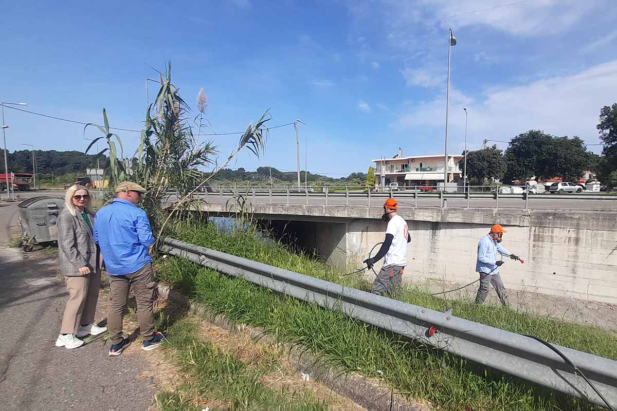 dt psekasmoi 2
