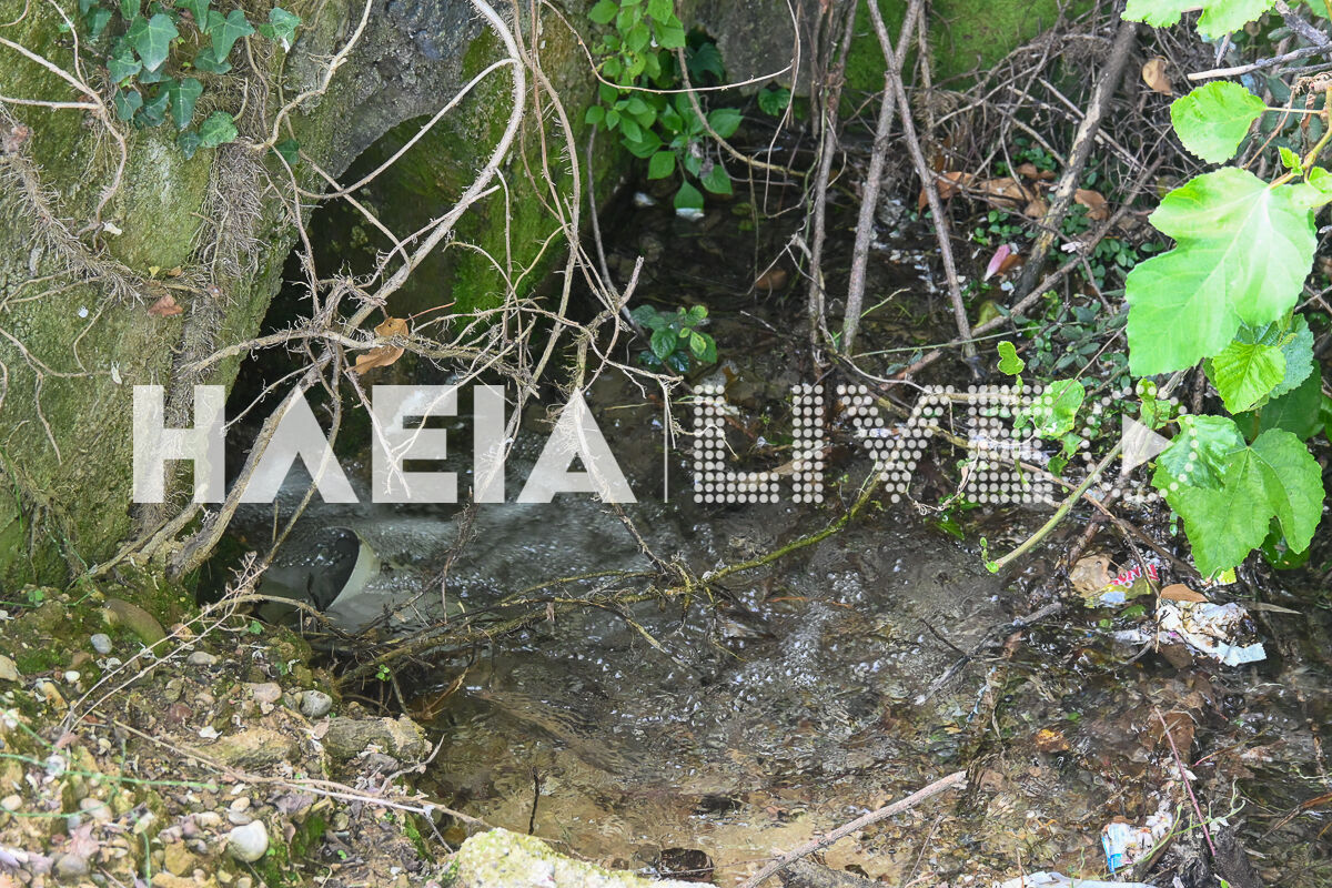 Varvasaina 6