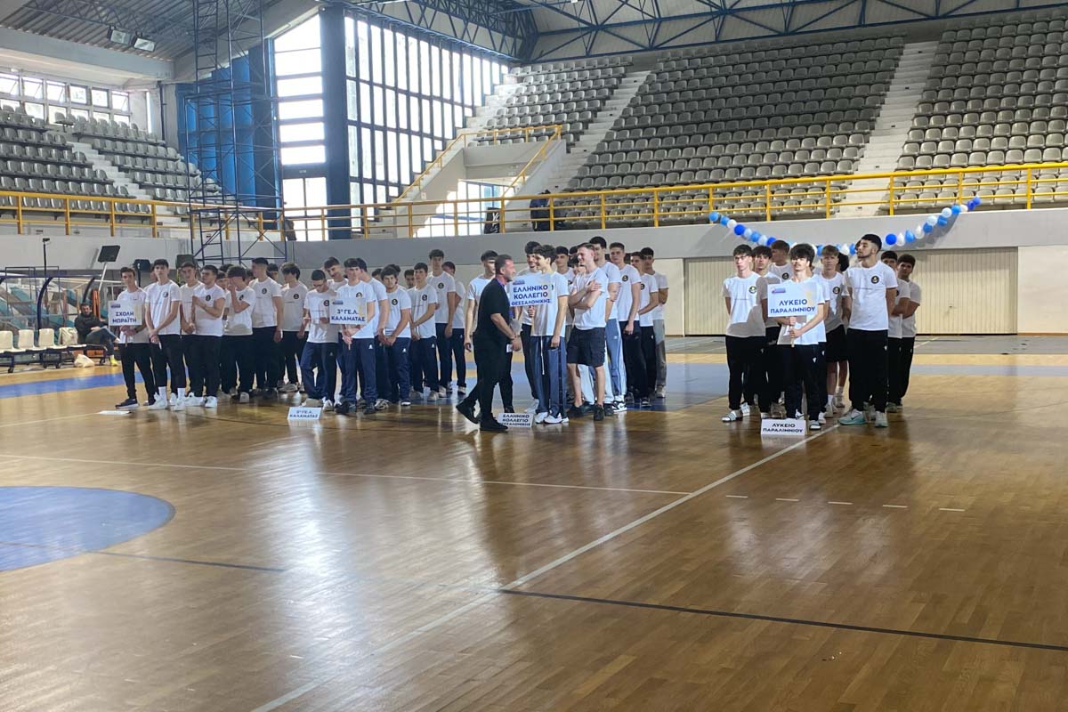 dt protathlima volley 3