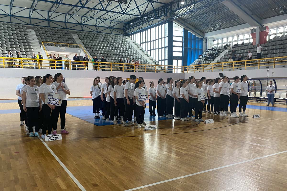 dt protathlima volley 4