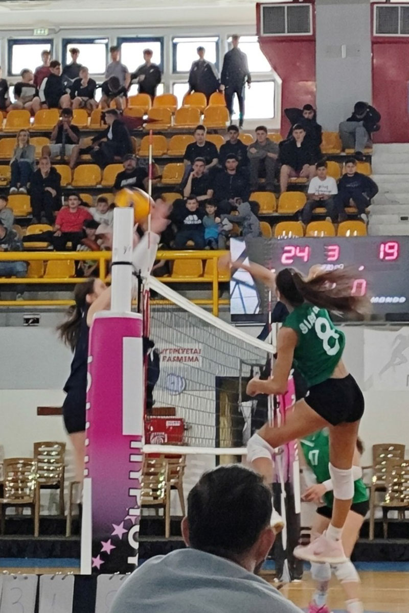 dt protathlima volley 7