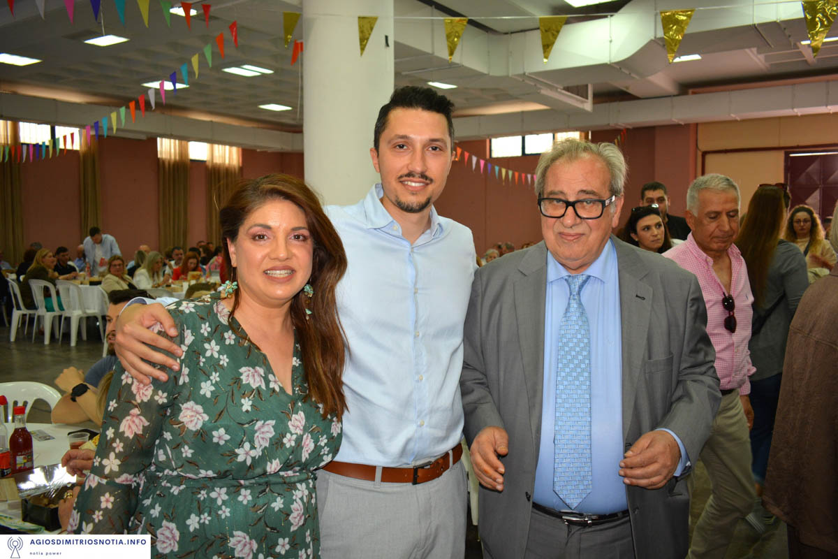 dt sullogos ileion attikis 1