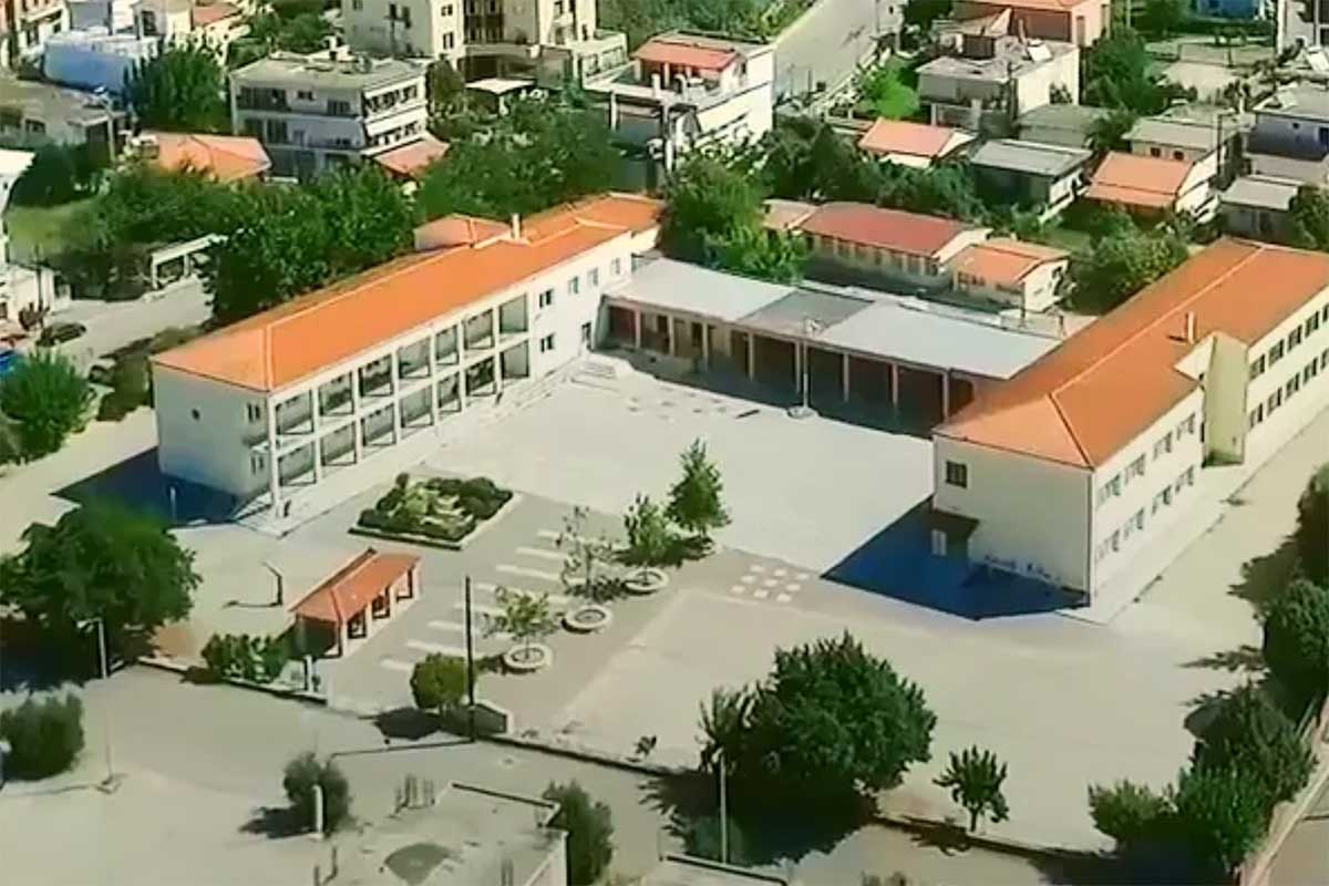 dt sxoleia zaxaro 1