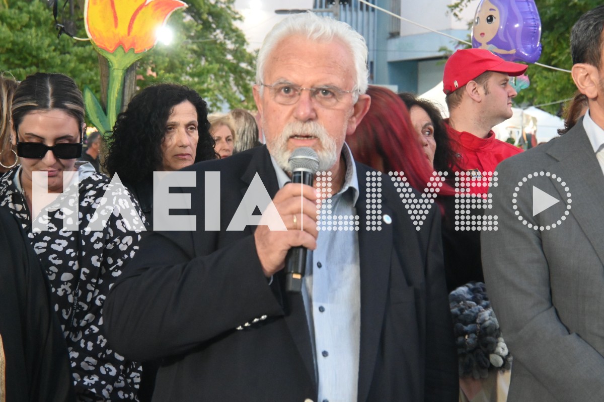 anthokomiki amaliada 11