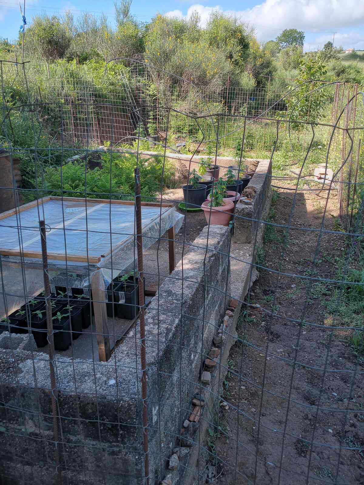 narkotika sporoi 2