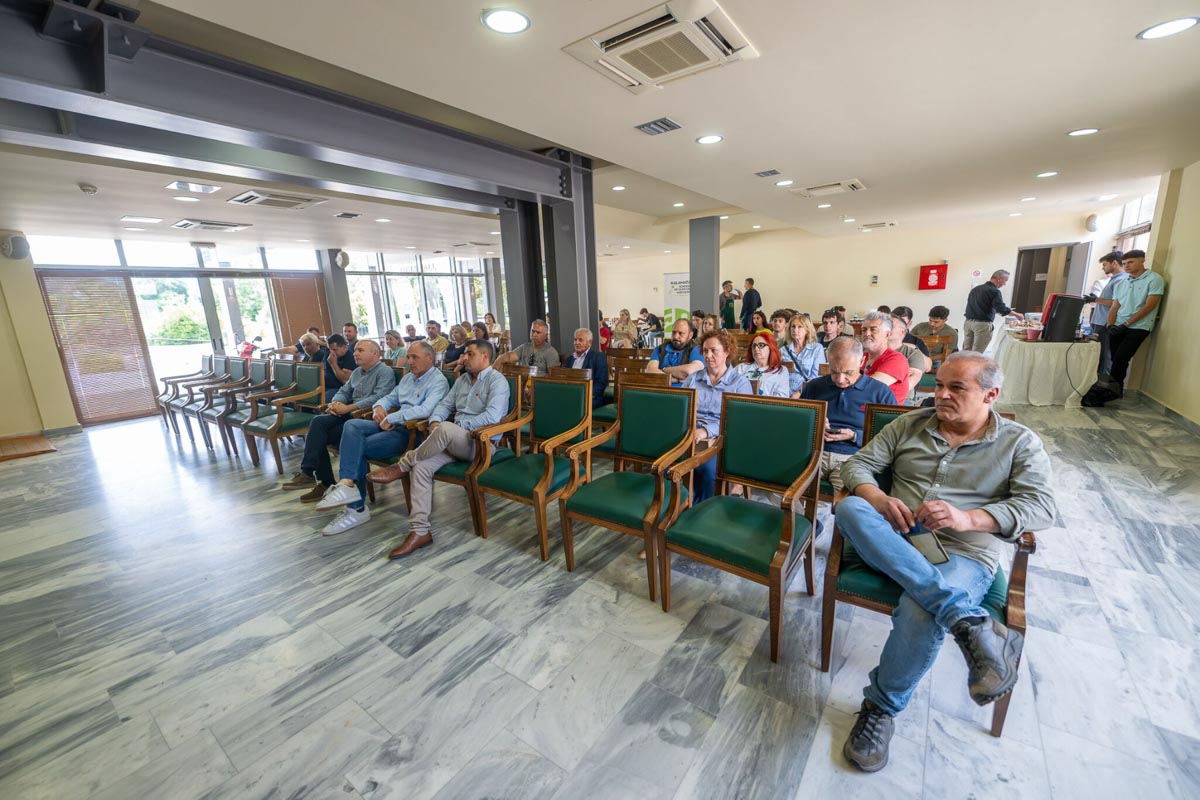 dt geoponiko panepistimio olumpia 8