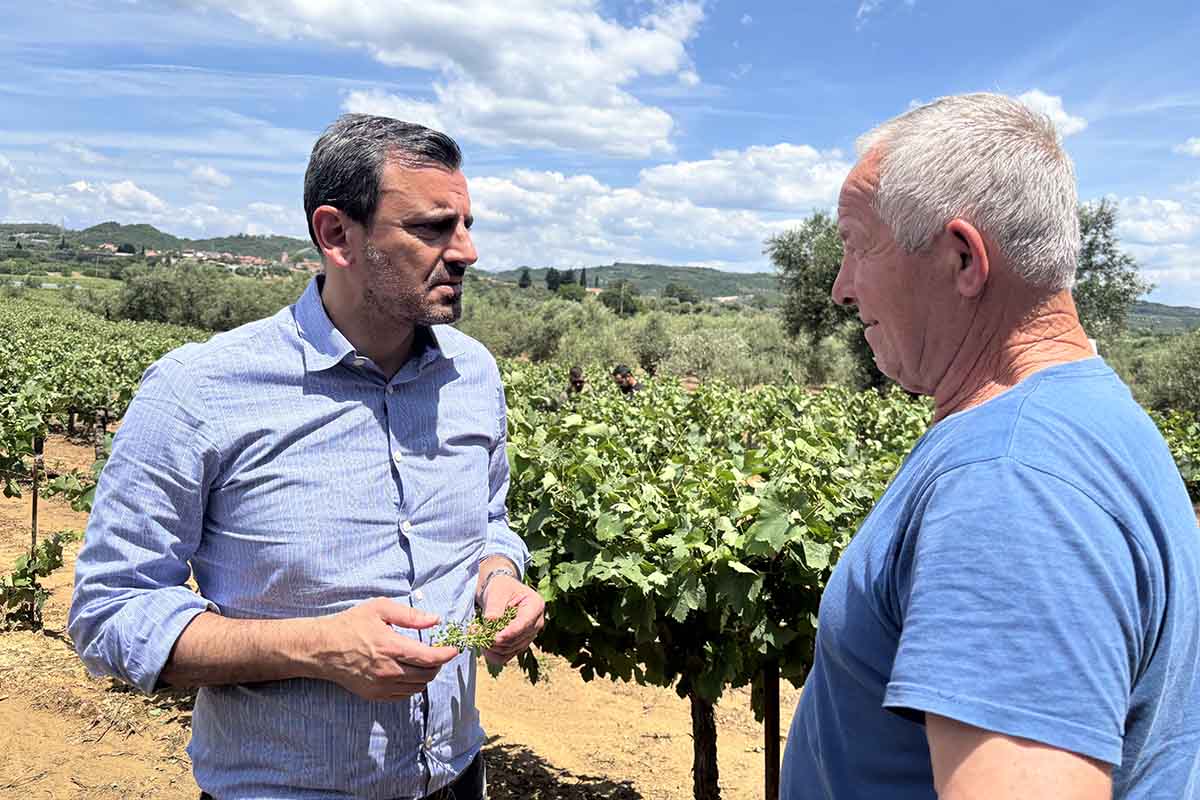 dt nikolakopoulos xalazi 2