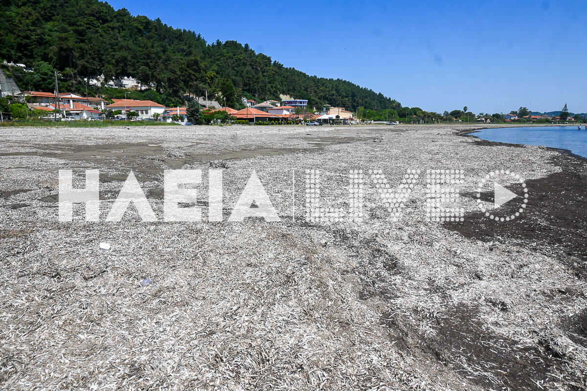 paralia katakolou 3