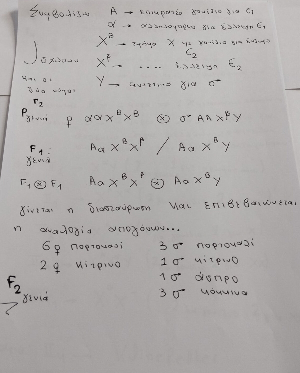Viologia 3