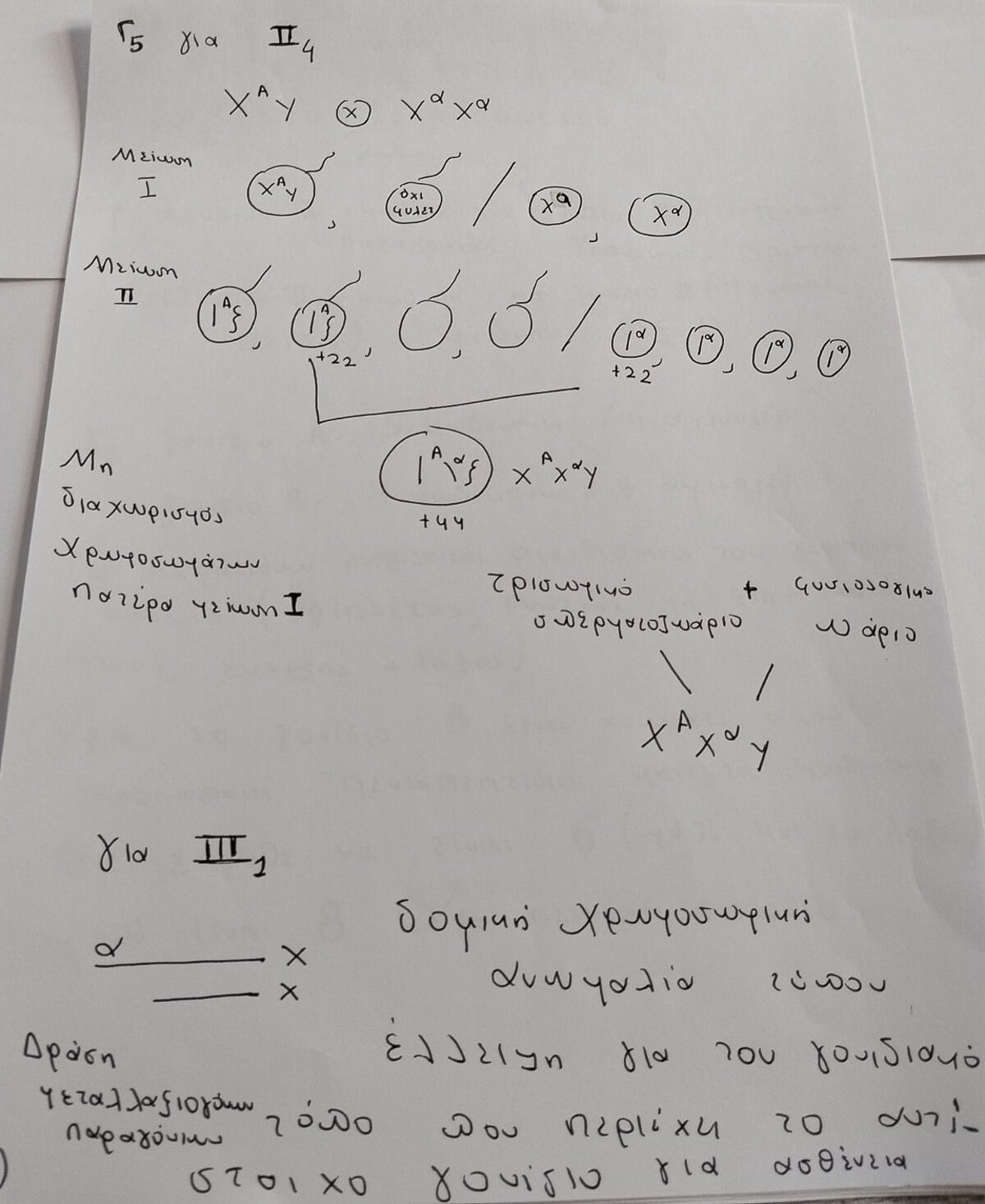 Viologia 5