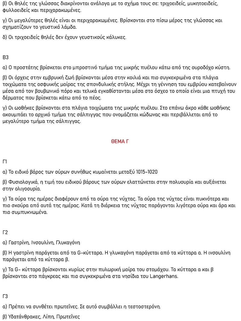 anodos anatomia 2