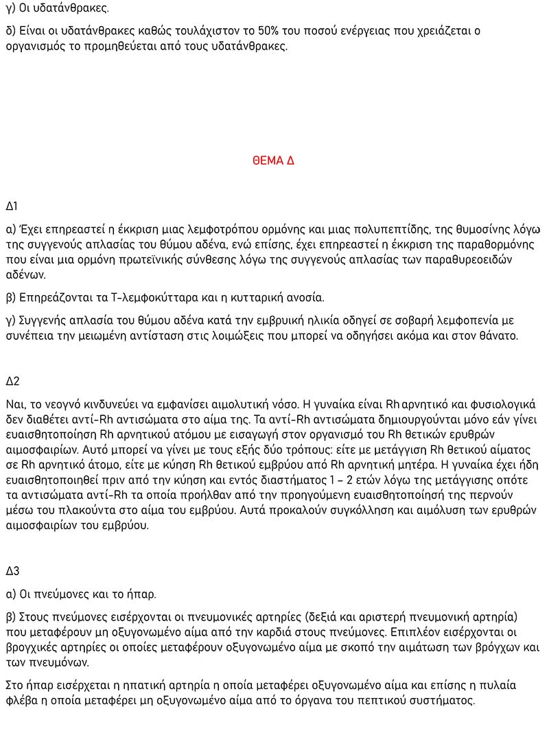 anodos anatomia 3