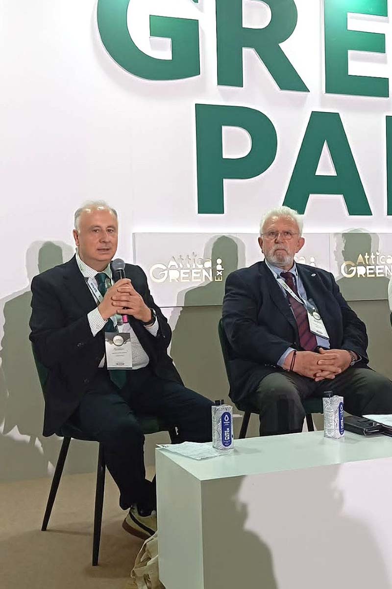 dt ilida prasino tameio 4