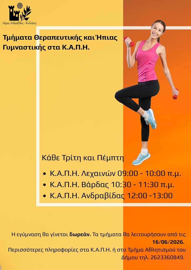 dt kapi