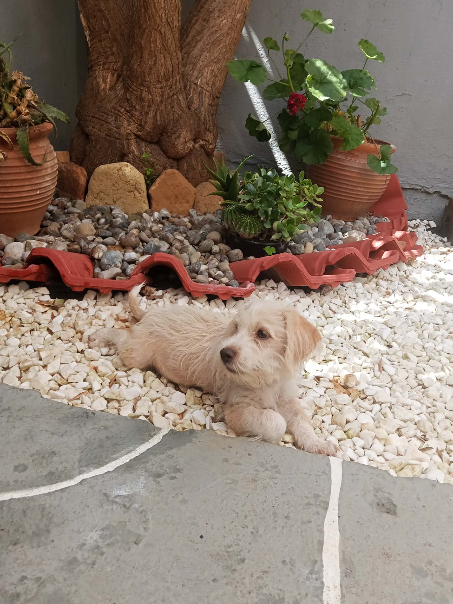 maili 1