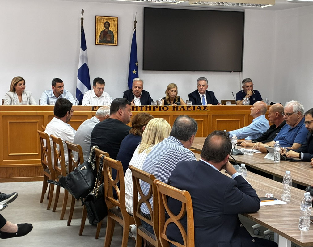 dt epimelitirio xrusoxoidis 1