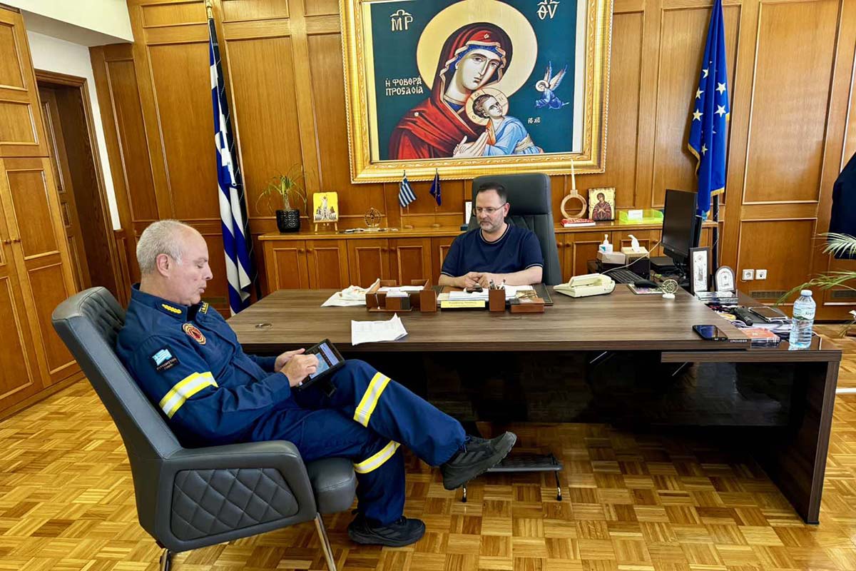 dt korovesis purosvestiki 2