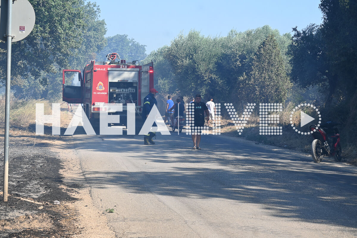 Fotia Varda 20