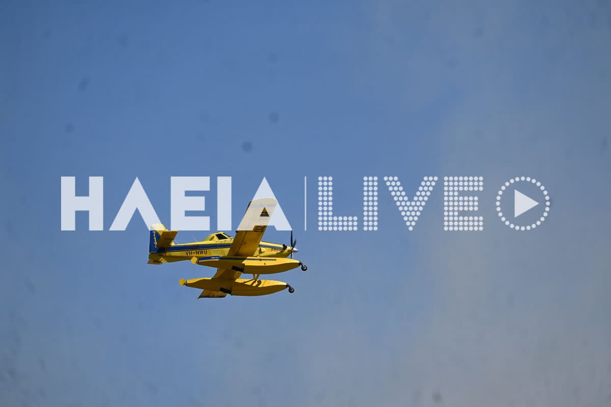 Fotia varda 3