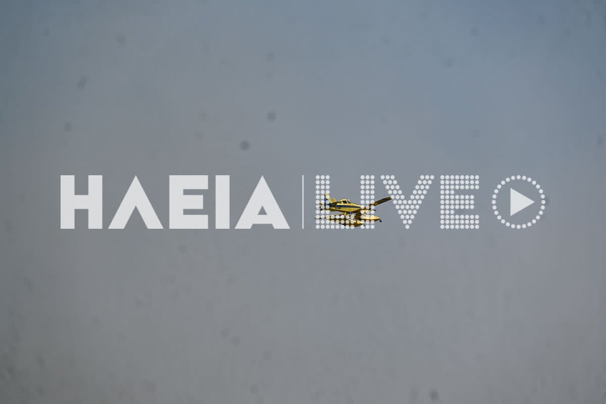 Fotia varda 4