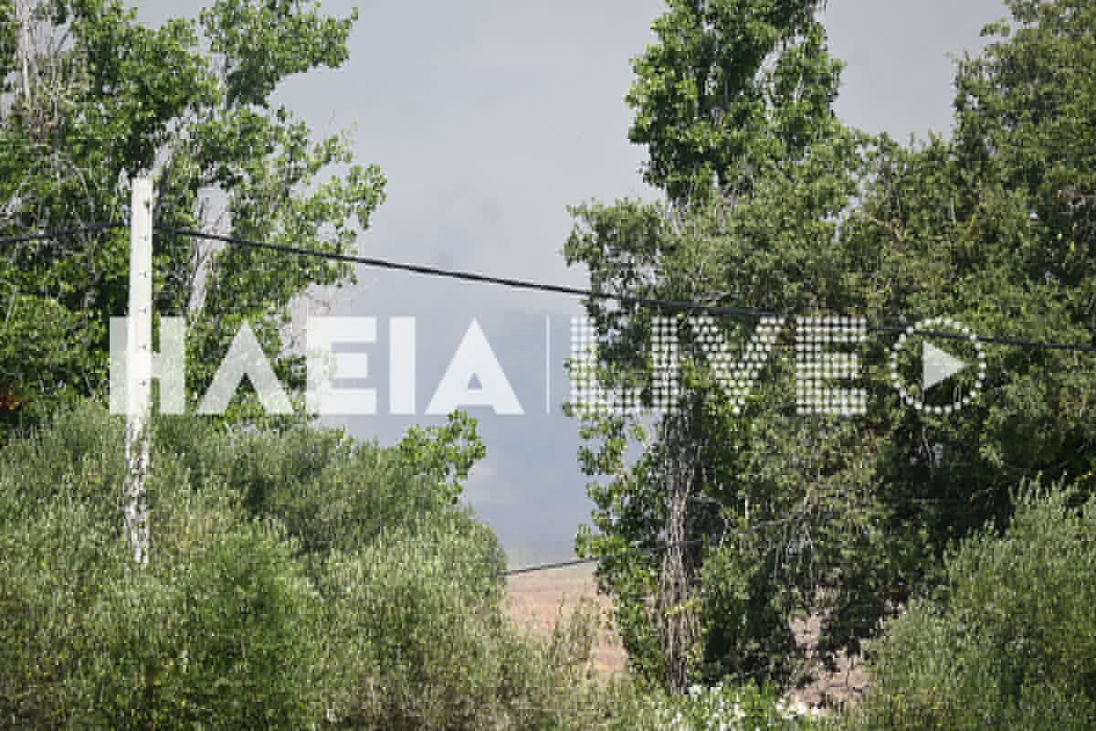 Fotia varda 6