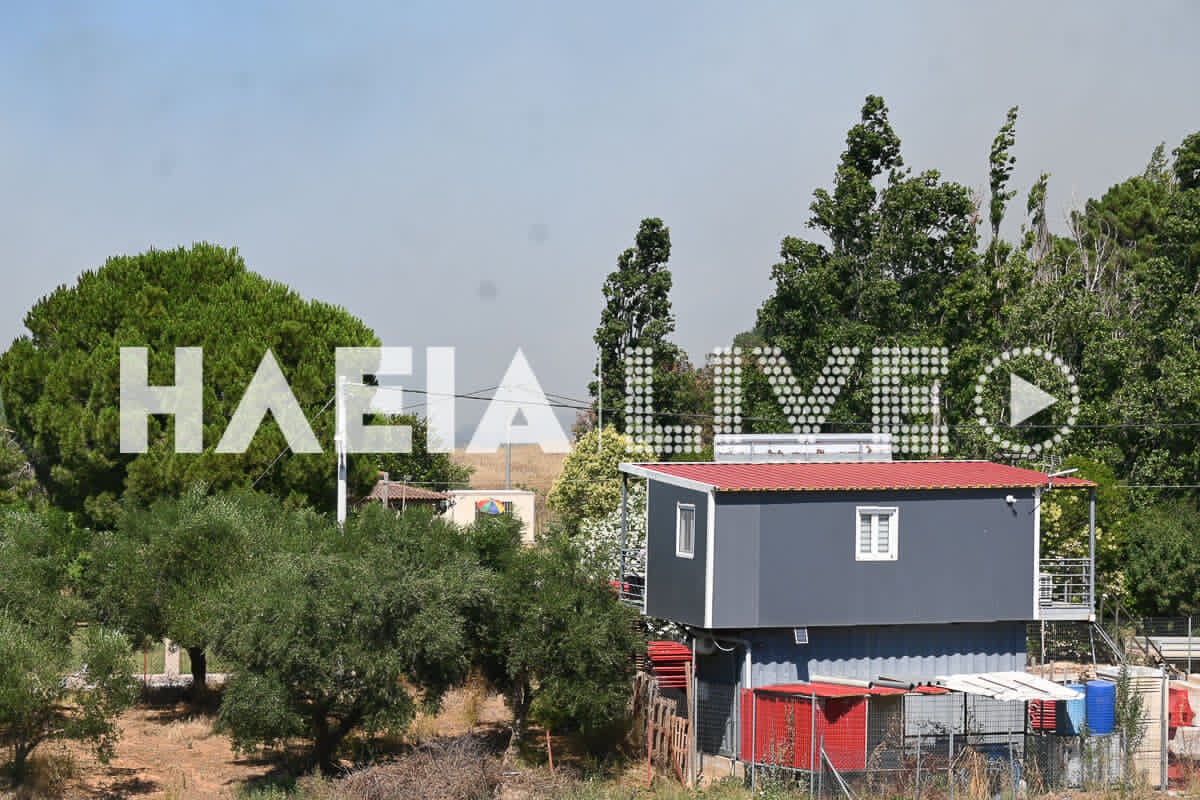 Fotia varda 7