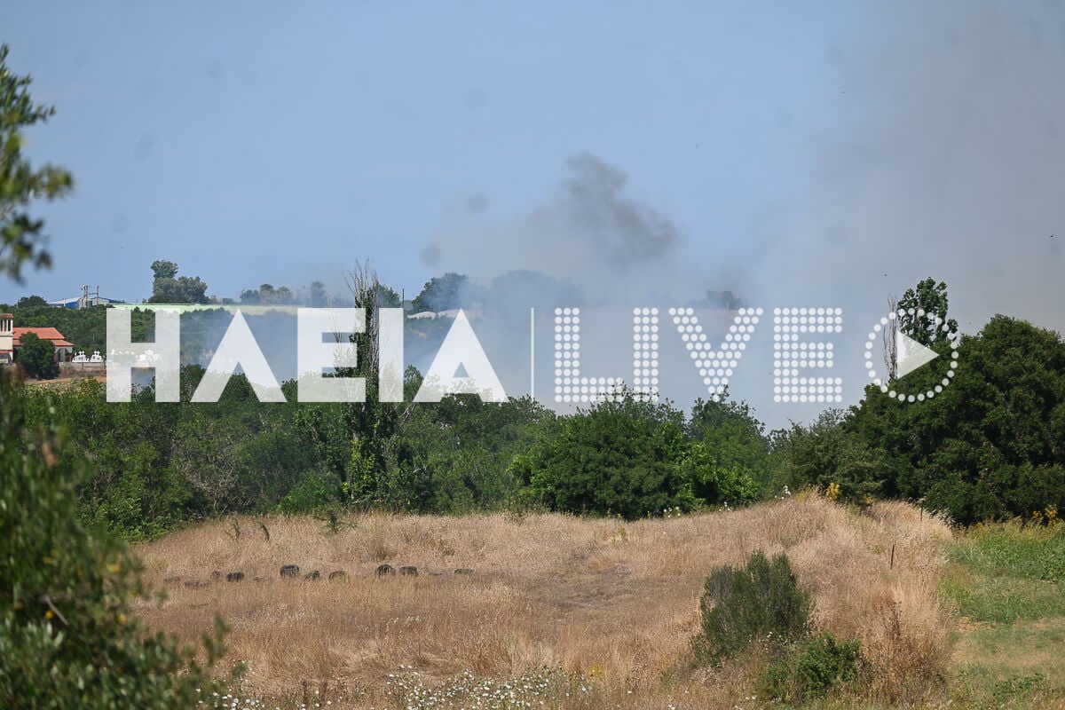 Fotia varda 8