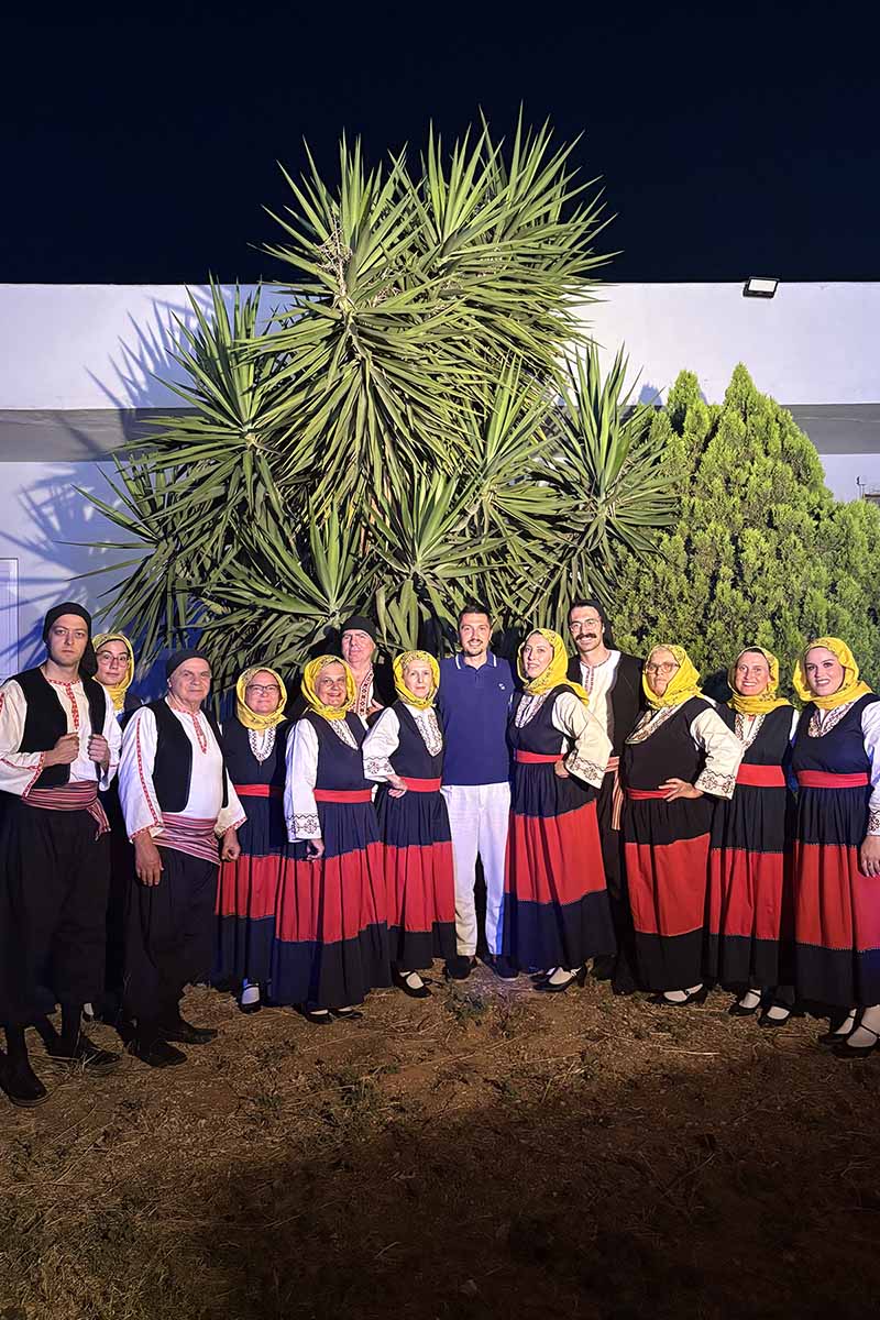 dt sullogos ileion attikis 1