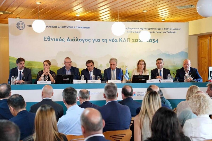 dt sxoinas metsovo 3 86f04