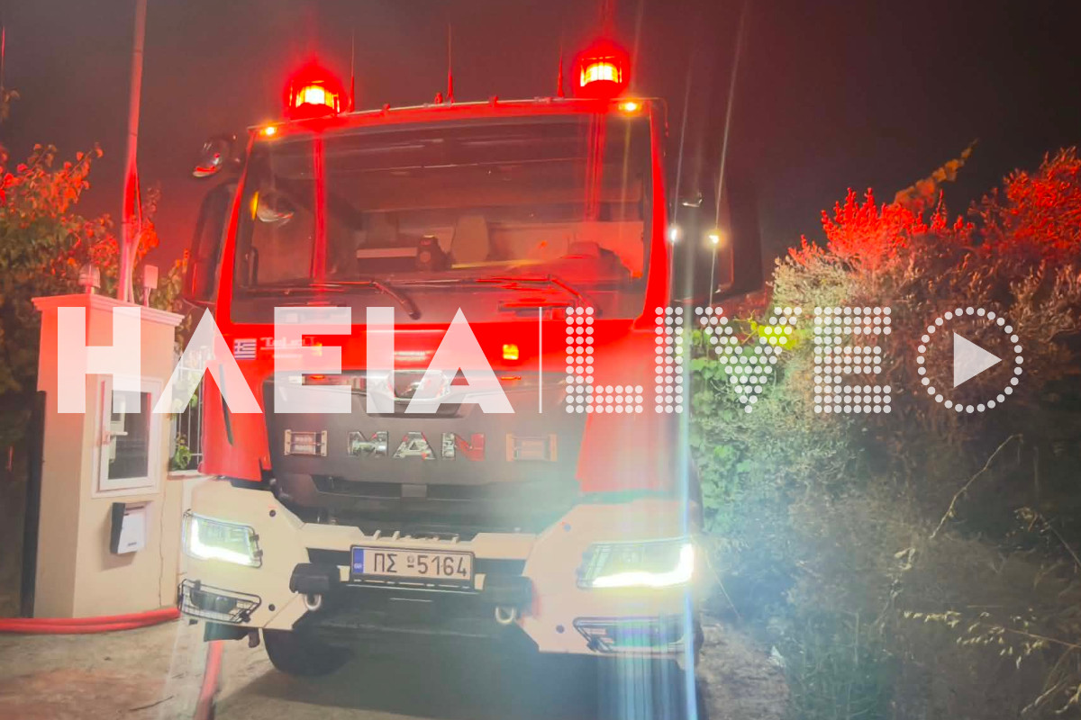 fotia Katsarou purosvestiko 2