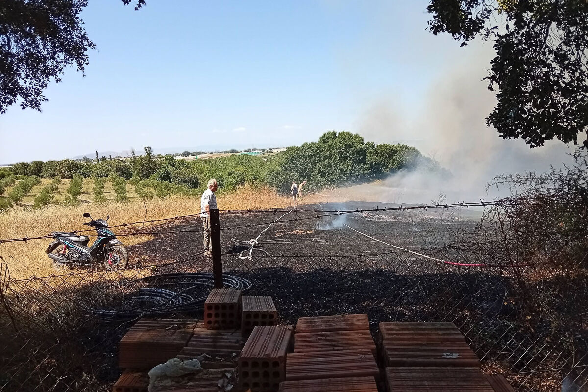 Fotia Varda Kougias 18