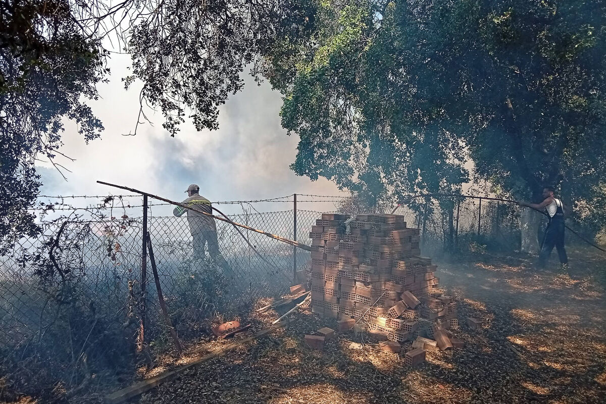 Fotia Varda Kougias 21