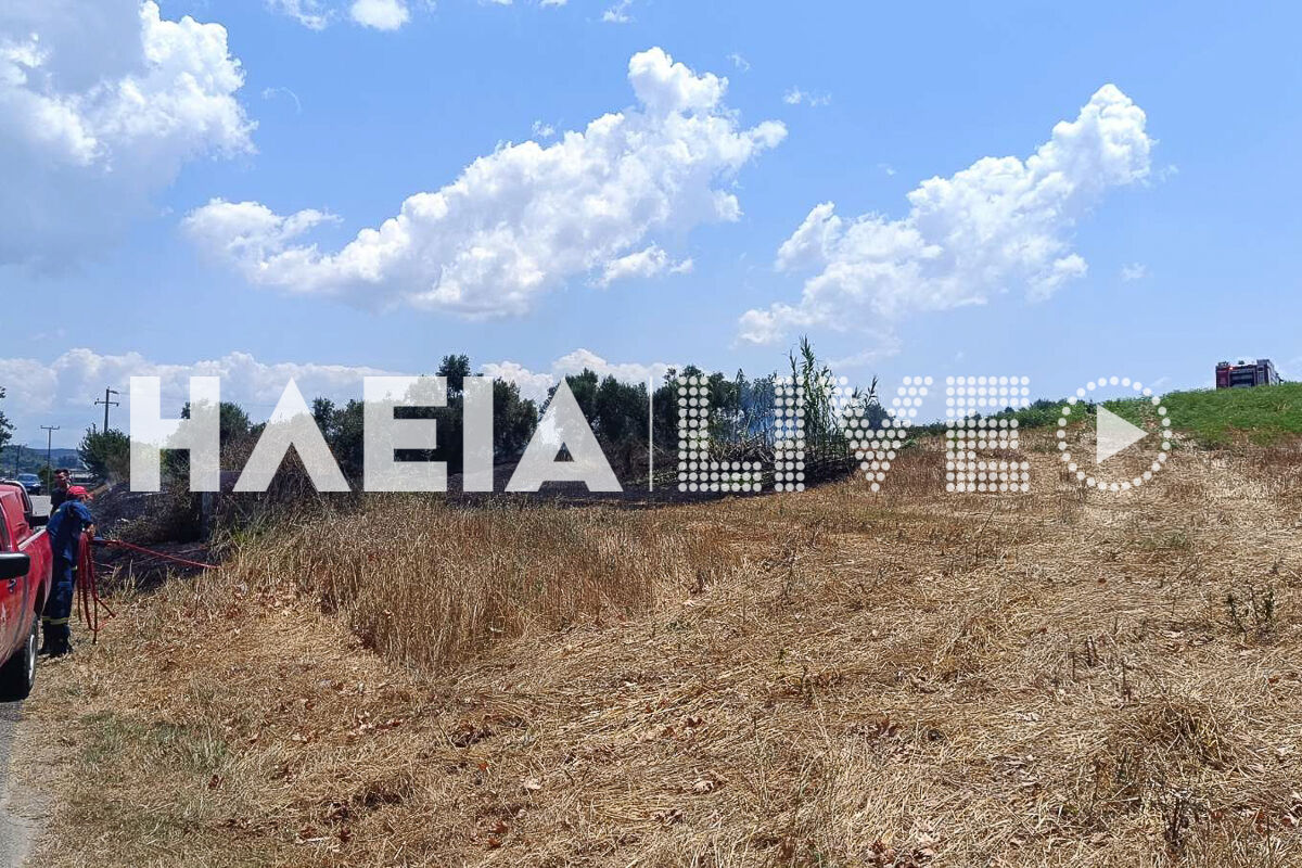 Fotia lasteika 1