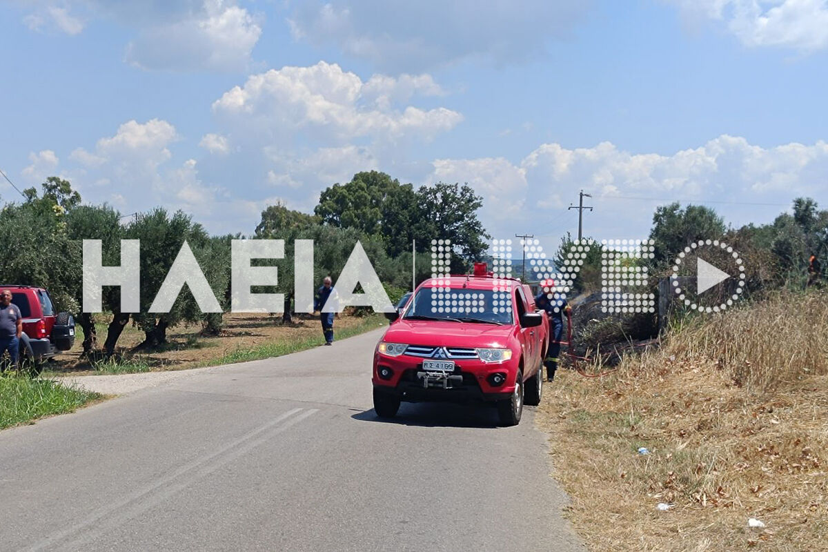 Fotia lasteika 3